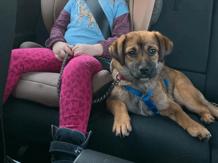 2025 12 17 09 06 19 Unbenannt Besprechung