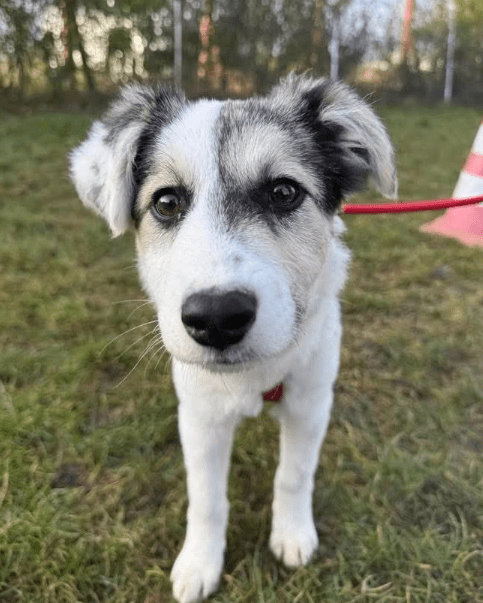 2025 12 19 11 20 57 Posteingang Sina.Rieke Kroeger@oetker.com Outlook