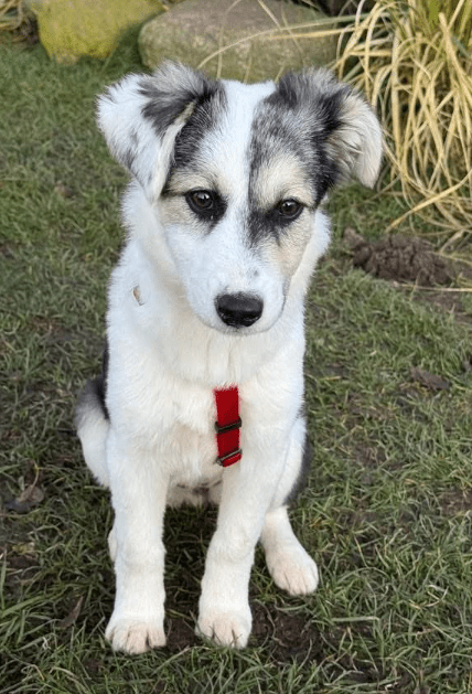 2025 12 19 11 21 02 Posteingang Sina.Rieke Kroeger@oetker.com Outlook