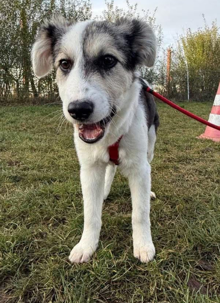 2025 12 19 11 21 08 Posteingang Sina.Rieke Kroeger@oetker.com Outlook