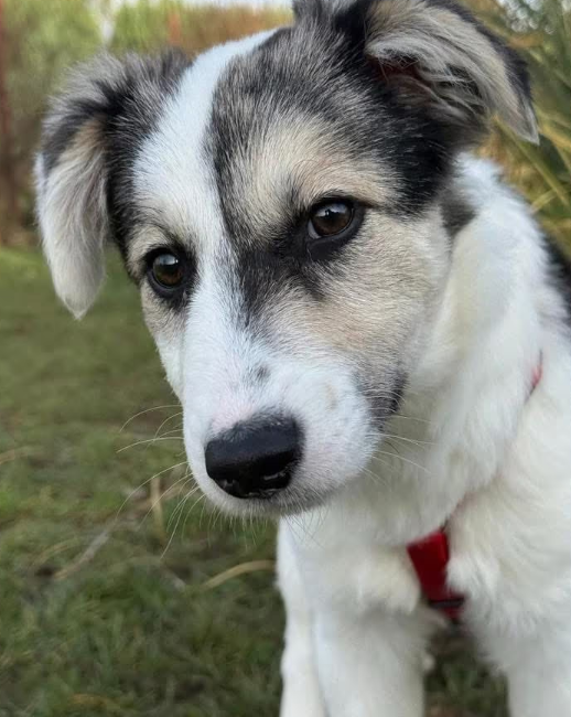 2025 12 19 11 21 13 Posteingang Sina.Rieke Kroeger@oetker.com Outlook