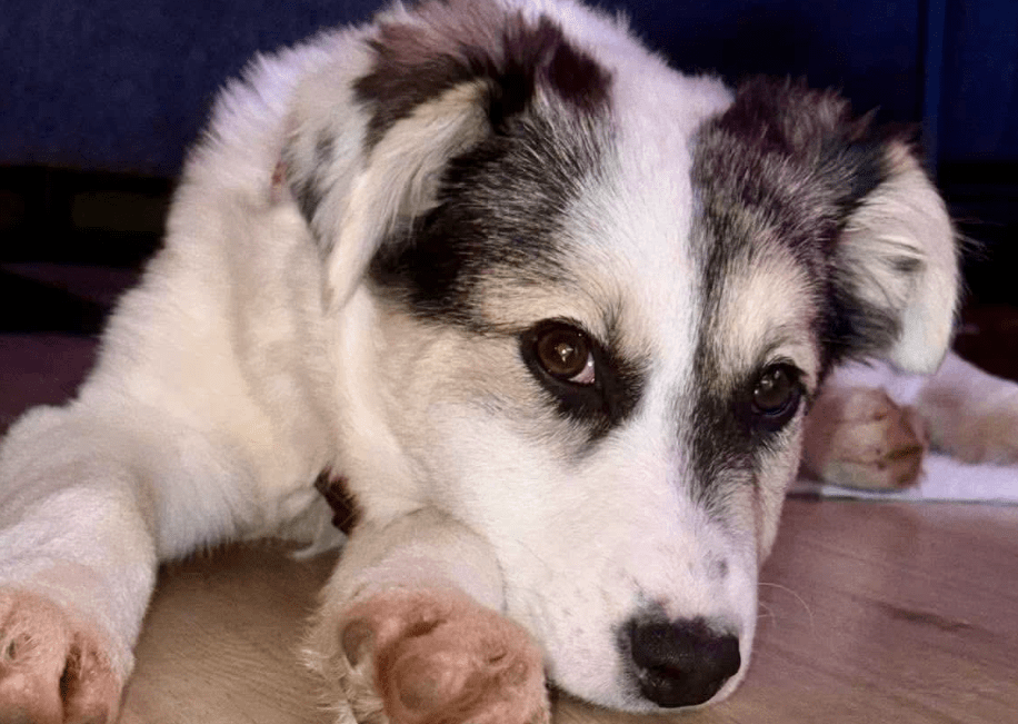 2025 12 19 11 21 20 Posteingang Sina.Rieke Kroeger@oetker.com Outlook