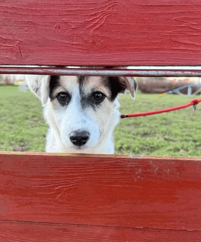 2025 12 19 11 21 26 Posteingang Sina.Rieke Kroeger@oetker.com Outlook