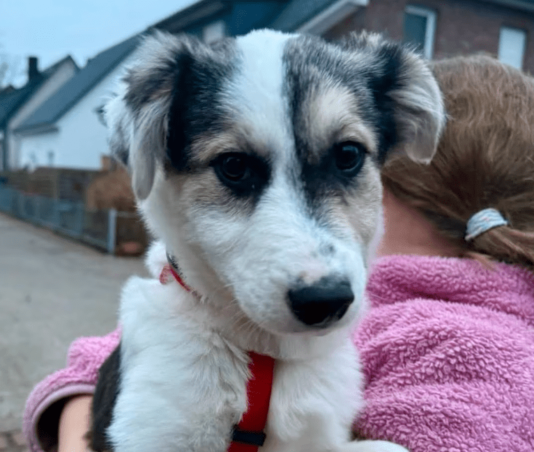 2025 12 19 11 21 30 Posteingang Sina.Rieke Kroeger@oetker.com Outlook