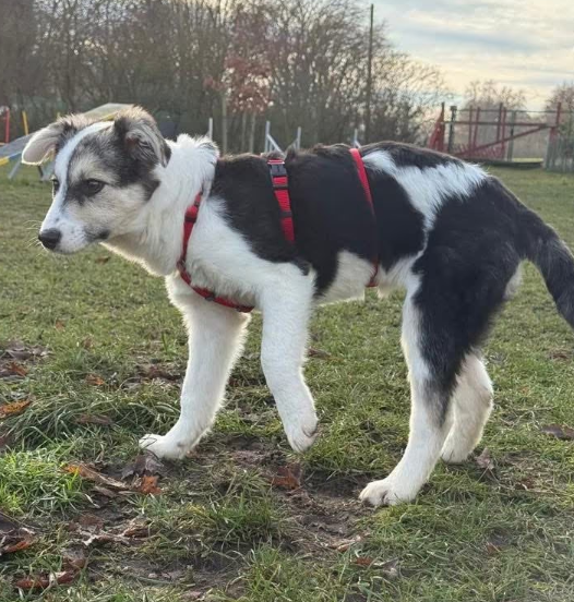 2025 12 19 11 21 36 Posteingang Sina.Rieke Kroeger@oetker.com Outlook