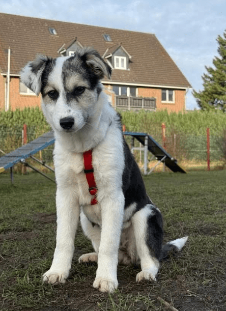 2025 12 19 11 21 42 Posteingang Sina.Rieke Kroeger@oetker.com Outlook