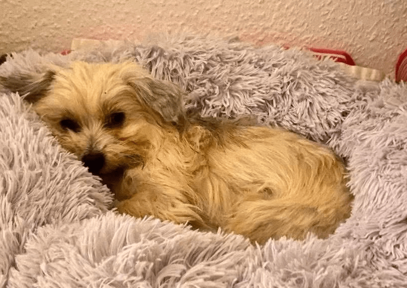 2025 12 19 11 26 58 Posteingang Sina.Rieke Kroeger@oetker.com Outlook