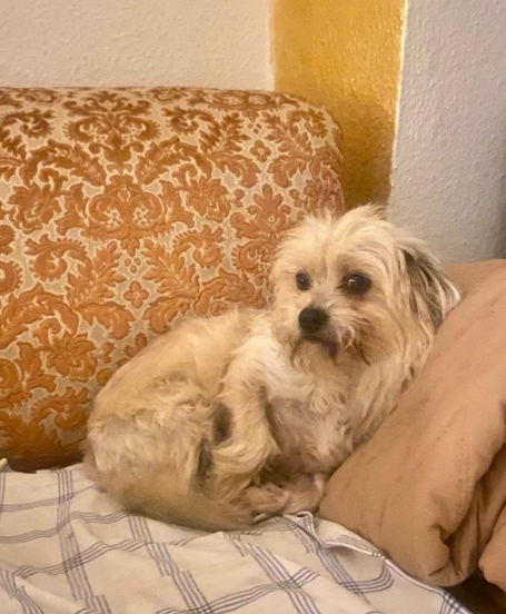 2025 12 19 11 27 02 Posteingang Sina.Rieke Kroeger@oetker.com Outlook