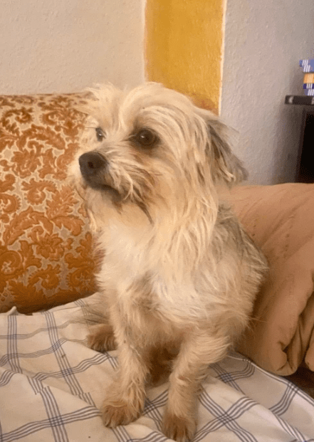 2025 12 19 11 27 05 Posteingang Sina.Rieke Kroeger@oetker.com Outlook