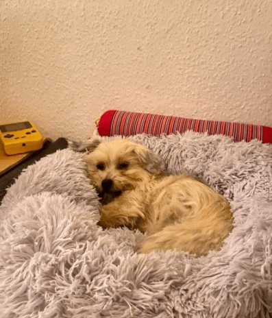 2025 12 19 11 27 10 Posteingang Sina.Rieke Kroeger@oetker.com Outlook