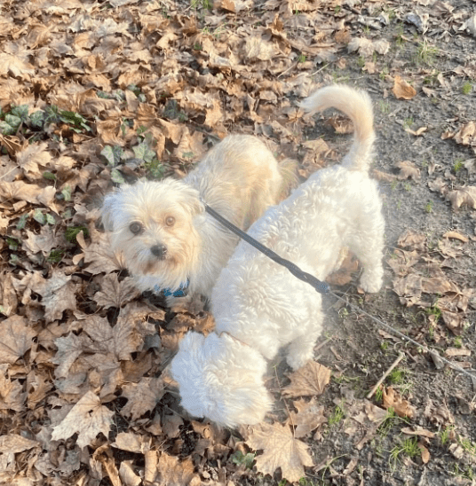 2025 12 19 11 27 13 Posteingang Sina.Rieke Kroeger@oetker.com Outlook