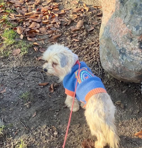 2025 12 19 11 27 17 Posteingang Sina.Rieke Kroeger@oetker.com Outlook