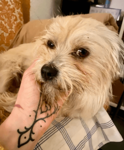 2025 12 19 11 27 22 Posteingang Sina.Rieke Kroeger@oetker.com Outlook