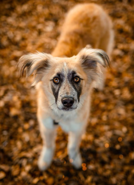 2025 12 22 13 53 11 Posteingang Sina.Rieke Kroeger@oetker.com Outlook