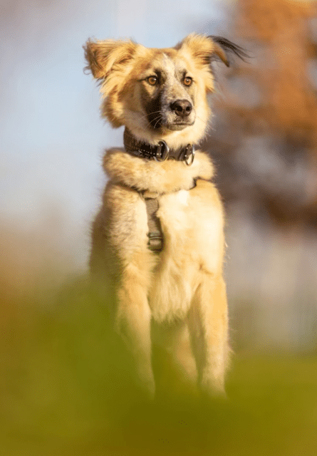 2025 12 22 13 53 18 Posteingang Sina.Rieke Kroeger@oetker.com Outlook