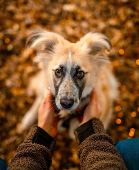 2025 12 22 13 53 27 Posteingang Sina.Rieke Kroeger@oetker.com Outlook