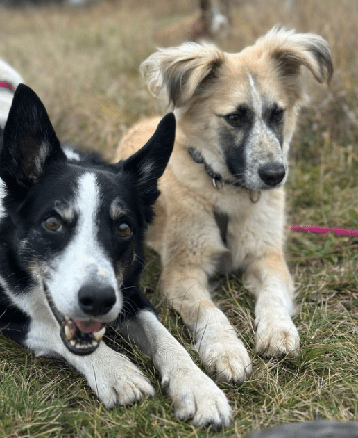 2025 12 22 13 53 30 Posteingang Sina.Rieke Kroeger@oetker.com Outlook