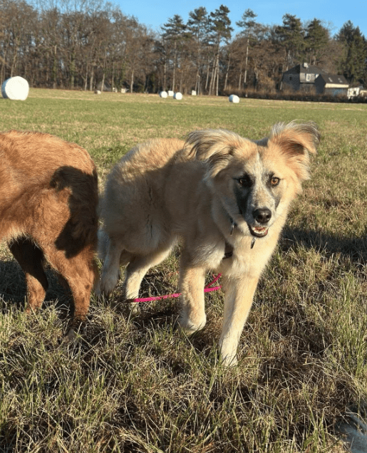 2025 12 22 13 53 34 Posteingang Sina.Rieke Kroeger@oetker.com Outlook