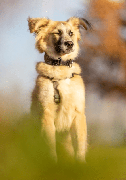 2025 12 22 13 53 38 Posteingang Sina.Rieke Kroeger@oetker.com Outlook