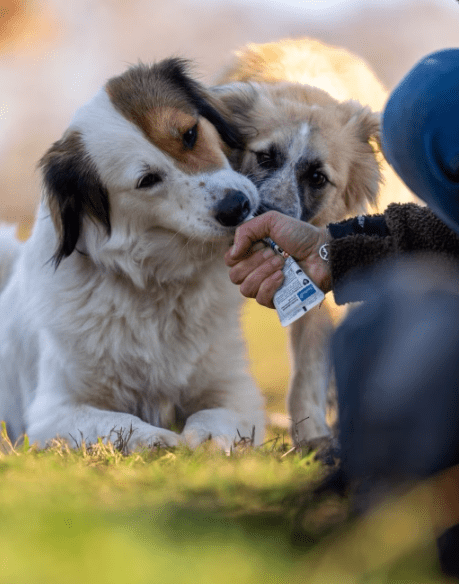 2025 12 22 13 53 43 Posteingang Sina.Rieke Kroeger@oetker.com Outlook