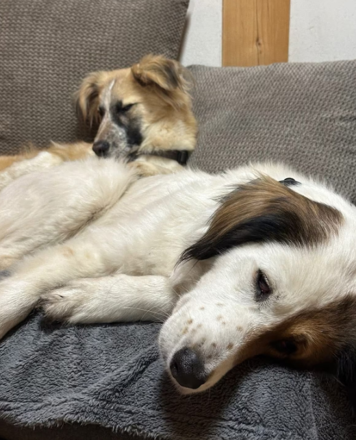 2025 12 22 13 53 49 Posteingang Sina.Rieke Kroeger@oetker.com Outlook