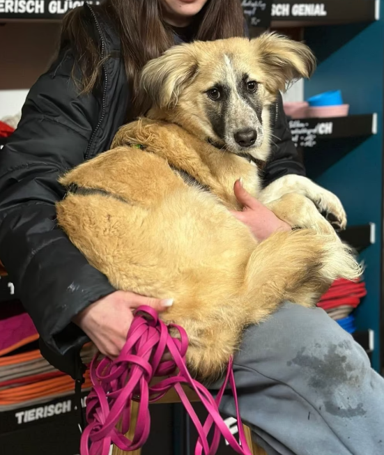 2025 12 22 13 53 54 Posteingang Sina.Rieke Kroeger@oetker.com Outlook