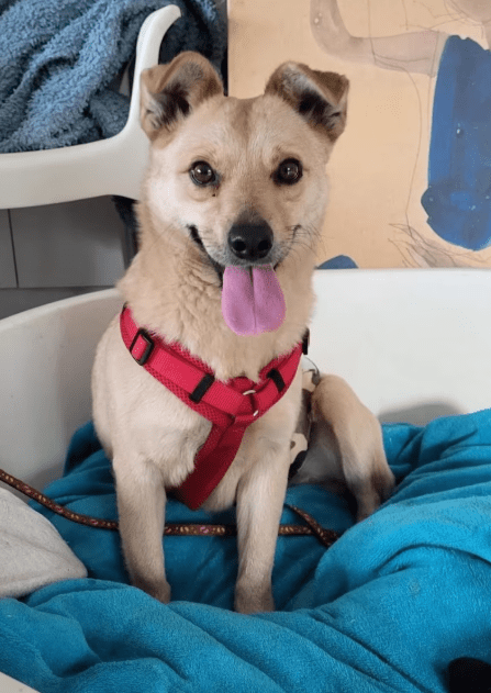 2025 12 22 13 55 18 Posteingang Sina.Rieke Kroeger@oetker.com Outlook