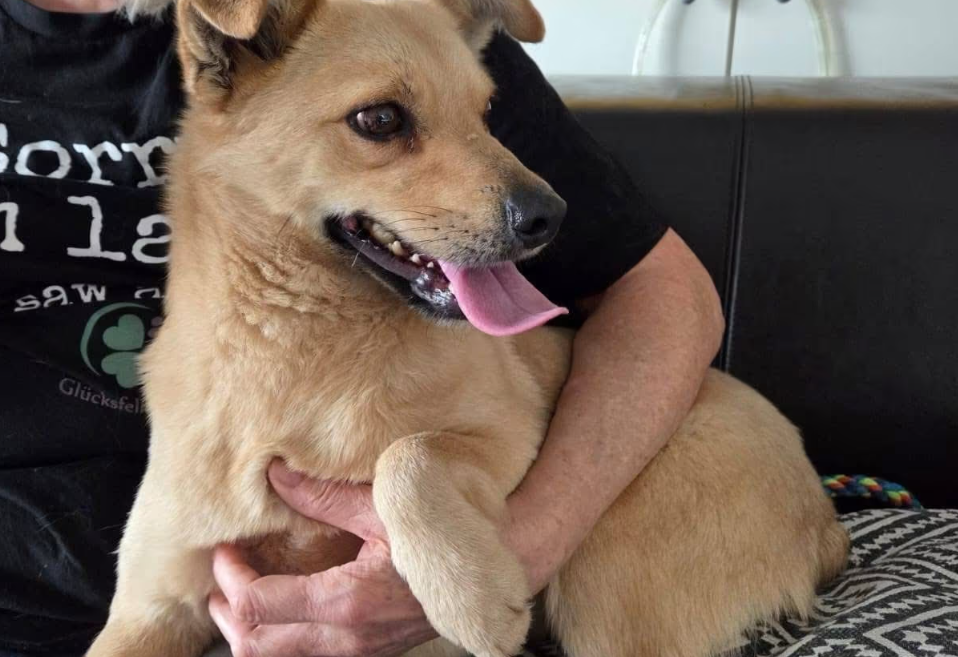 2025 12 22 13 55 24 Posteingang Sina.Rieke Kroeger@oetker.com Outlook