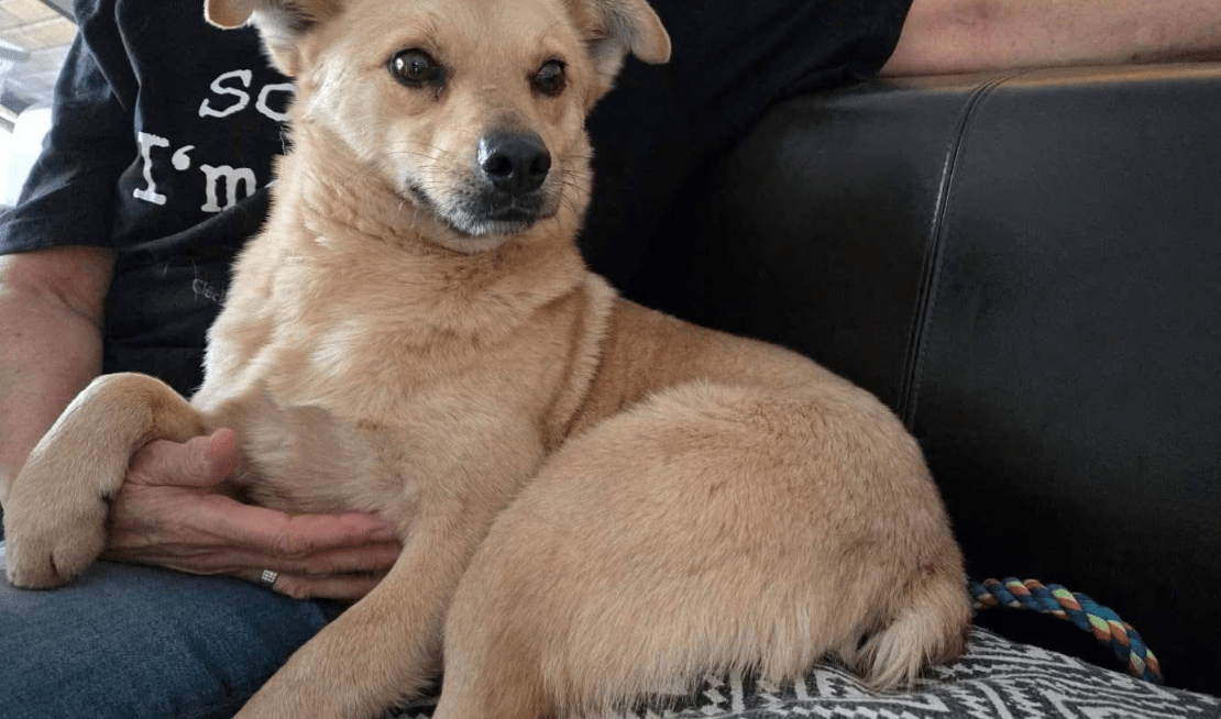 2025 12 22 13 55 28 Posteingang Sina.Rieke Kroeger@oetker.com Outlook