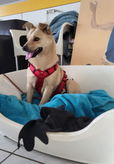 2025 12 22 13 55 33 Posteingang Sina.Rieke Kroeger@oetker.com Outlook