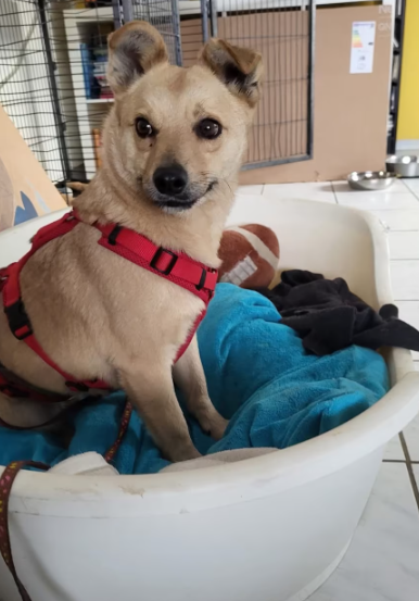 2025 12 22 13 55 39 Posteingang Sina.Rieke Kroeger@oetker.com Outlook