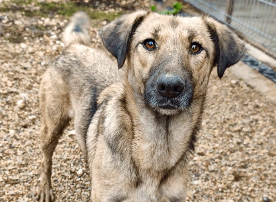 2025 12 22 14 00 02 Posteingang Sina.Rieke Kroeger@oetker.com Outlook