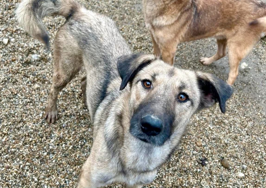 2025 12 22 14 00 06 Posteingang Sina.Rieke Kroeger@oetker.com Outlook