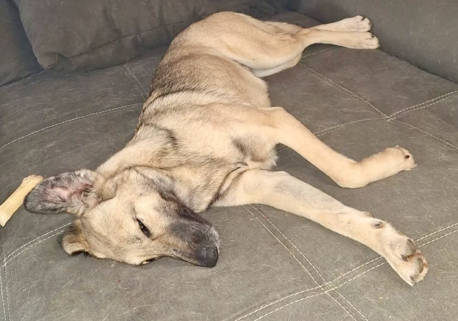 2025 12 22 14 00 12 Posteingang Sina.Rieke Kroeger@oetker.com Outlook