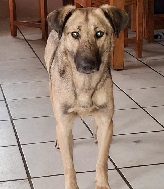 2025 12 22 14 00 17 Posteingang Sina.Rieke Kroeger@oetker.com Outlook