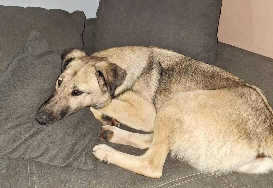 2025 12 22 14 00 21 Posteingang Sina.Rieke Kroeger@oetker.com Outlook