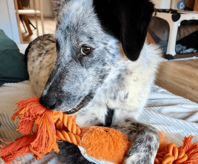 2025 12 29 09 39 02 1 Erinnerung(en)