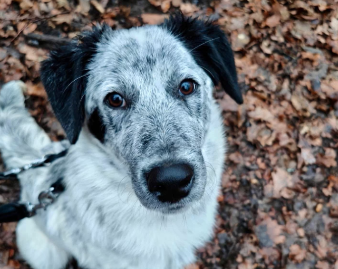 2025 12 29 09 39 08 1 Erinnerung(en)