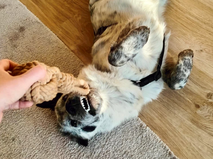 2025 12 29 09 39 13 1 Erinnerung(en)