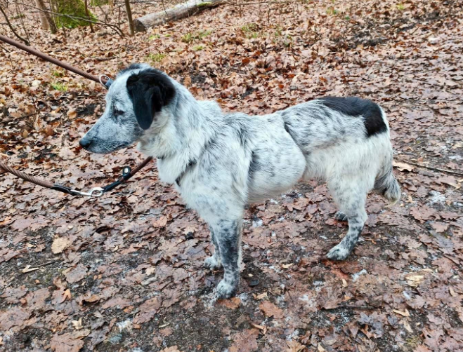 2025 12 29 09 39 17 1 Erinnerung(en)