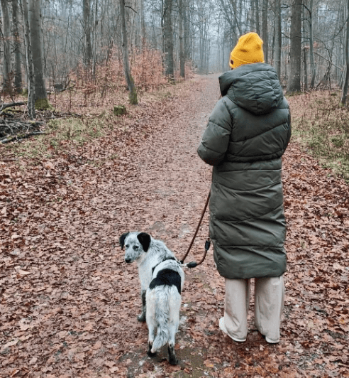 2025 12 29 09 39 27 1 Erinnerung(en)