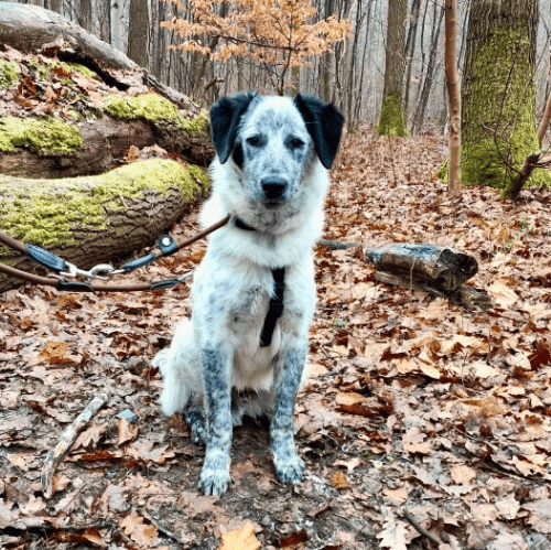 2025 12 29 09 39 33 1 Erinnerung(en)