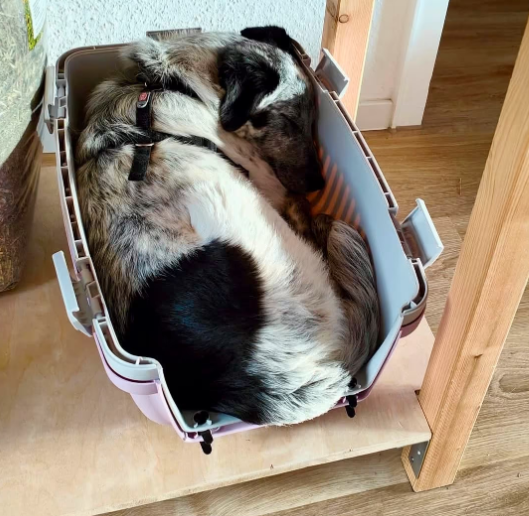 2025 12 29 09 39 41 1 Erinnerung(en)