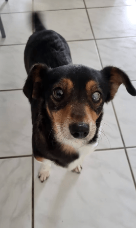 2026 01 19 09 28 20 Quick Alignment New Marketing Project Besprechung