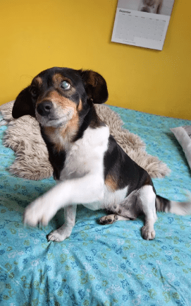 2026 01 19 09 28 25 Quick Alignment New Marketing Project Besprechung