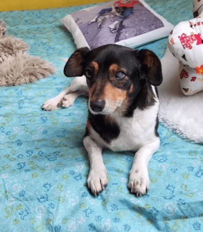 2026 01 19 09 28 31 Quick Alignment New Marketing Project Besprechung