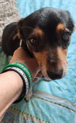 2026 01 19 09 28 40 Quick Alignment New Marketing Project Besprechung