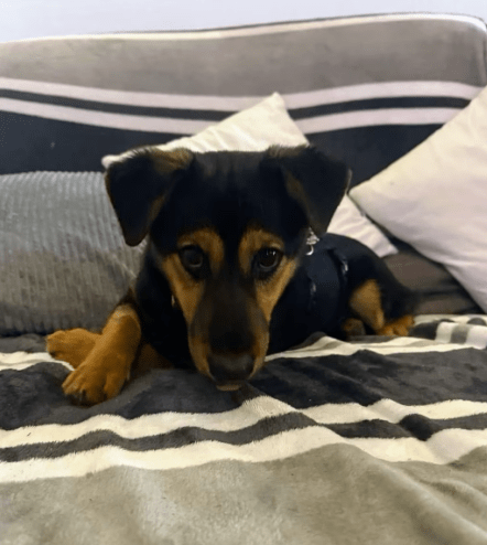 2026 01 23 18 27 51 Posteingang Sina.Rieke Kroeger@oetker.com Outlook