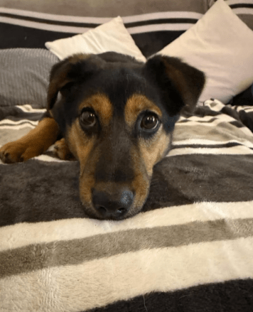 2026 01 23 18 27 55 Posteingang Sina.Rieke Kroeger@oetker.com Outlook