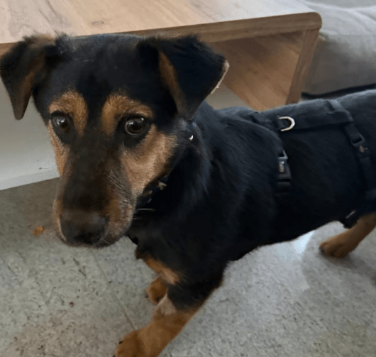 2026 01 23 18 27 59 Posteingang Sina.Rieke Kroeger@oetker.com Outlook